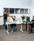 47.2 Inch Electric Standing Desk With Wood Desktop Height Adjustable Sit Stand Workstation For Home Office And Gaming