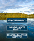 Easy To Use Beneficial Bacteria Pond Clarifier Packets For Clear Water, 12 Count, Fast, Lasting Results With A No Fuss Dose For Your Pond And A Cleaner, Healthier Ecosystem on lake water