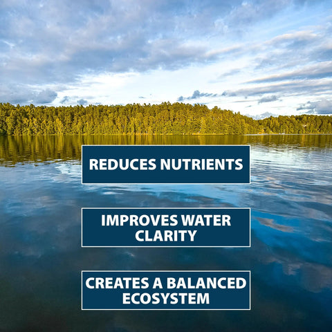 Easy To Use Beneficial Bacteria Pond Clarifier Packets For Clear Water, 12 Count, Fast, Lasting Results With A No Fuss Dose For Your Pond And A Cleaner, Healthier Ecosystem on lake water