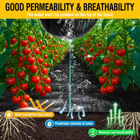 3ftx50ft Heavy Duty Weed Barrier Landscape Fabric for Gardens and Driveways used under tomato plants showing water permeability.