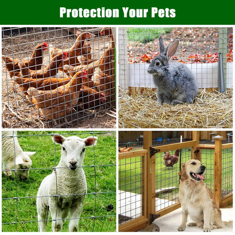 Heavy Duty Galvanized Wire Mesh Roll Shut Out Unwanted Critters Hassle Free Rock Solid Rust Proof Hardware Cloth for chickens, rabbits, goats, and dogs.