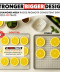 Big Time Performance Stainless Steel Digital Food Dehydrator With Eight Roomy Trays, featuring steel trays with lemon slices drying.