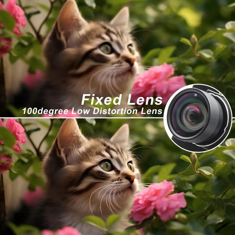 Dope 48MP USB Camera Module With Wide Angle Lens showing clarity with a close-up of a cat and flowers, 100-degree low distortion lens.