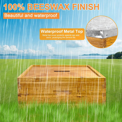 Five-Layer Langstroth Beehive Kit waterproof metal top with beeswax finish in rainy setting