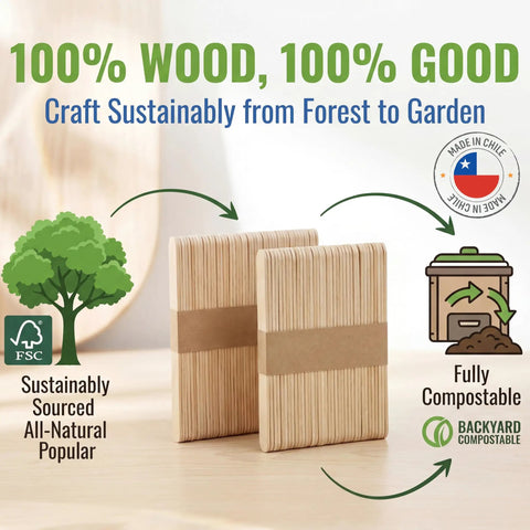 Totally Splinter Free Popsicle Sticks Bulk Pack Of 300 Natural Wood Craft Sticks 4.5 Inches Long, sustainably sourced, fully compostable.