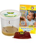 Cup Of Caterpillars Refill Kit With Five Live Painted Lady Caterpillars And Food Included, Chrys A Lid Log Included, Hands On Kit