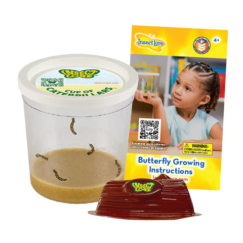 Cup Of Caterpillars Refill Kit With Five Live Painted Lady Caterpillars And Food Included, Chrys A Lid Log Included, Hands On Kit