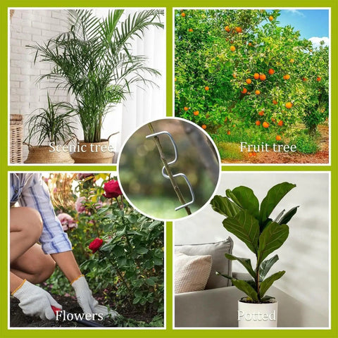 Pro Grade Fruit Tree Limb Spreaders Kit With 50 Piece Adjustable Branch Bending Tools To Fix Drooping Canopies, Improve Airflow, Promote Even Fruit Growth, And Maximize Orchard Productivity on fruit trees