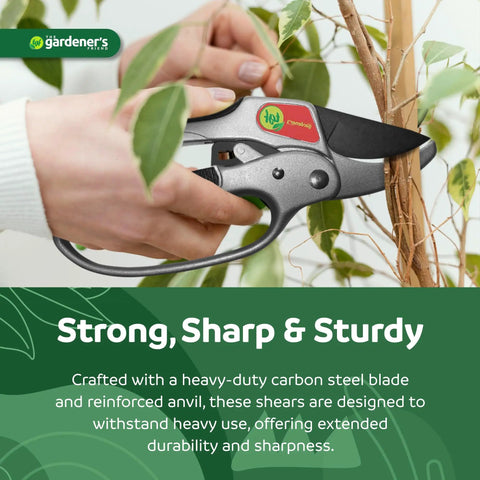 Ratcheting Pruning Shears For Garden Work With Assisted Action Beast Mode Cuts Heavy Duty Anvil Pruner cutting tree branch.