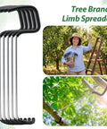 50 Pcs Fruit Tree Limb Spreaders 7 Inch Branch Puller Kit With Hose Protection For Tree Training Shaping Seedlings And Flowers Durable Construction For Easy Setup And Long Lasting Garden Use.