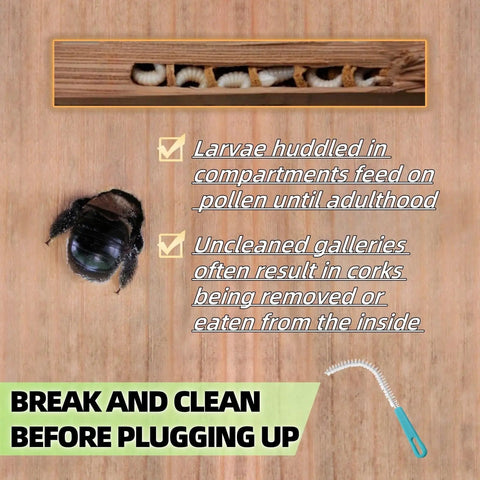 Cross-section of wood with bee larvae, adult bee, and brush from Three In One Carpenter Bee Holes Repair Kit With Small Medium And Large Wood Hole Plugs Corks Set For Fast Three Step Fix Of Carpenter Bee Damage In Wood Includes Flexible Tunnel Brush For Clean Out