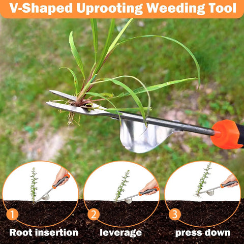 V-shaped stainless steel weeding tool uprooting grass with ergonomic handle, part of the 3 Pack Hand Weeder Tool Set With Stainless Steel Weed Puller, Grab And Go Portable Garden Weeding Tools For Crack Crevice Weeding, V Shape Hand Weeder, 4 Teeth Dual Use, Easy To Use Ergonomic Rubber Handle For Farm And Backyard