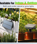 No-Fuss Solar Drip Irrigation System For Indoor And Outdoor Gardens in use with plants on window box and grow tent