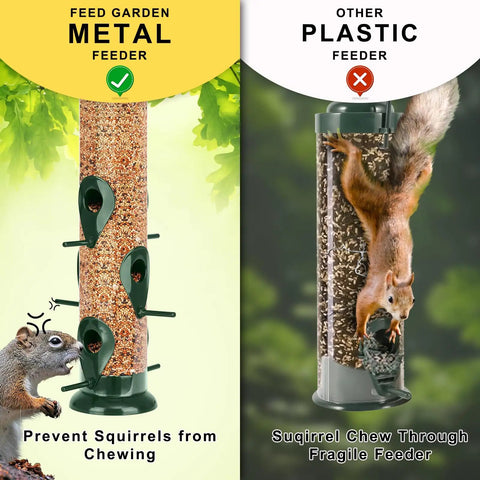 Comparison of a metal bird feeder preventing squirrel access and a plastic feeder being chewed by a squirrel