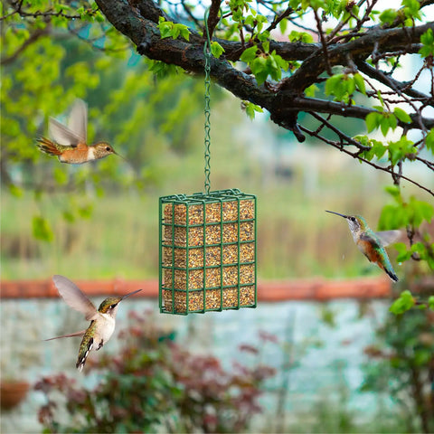 Outdoor Suet Bird Feeder Hanging Basket For Garden And Yard Attracts Woodpeckers Nuthatches And Songbirds With Easy Tree Trunk Mount Durable Suet Cake Feeder That Lets Birds Perch From All Sides And Stay Fed