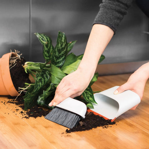 Using Compact Dustpan And Brush Set With Snap In Design and Bristle Cover to clean soil from countertop