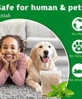Girl smiling with dog on carpet beside Natural Peppermint Oil Rodent Repellent Pouches Pet Safe Pest Control For Mice Rats Roaches Spiders Indoor Outdoor Humane Deterrent 10 Pack Kicks Pests Straight To The Curb.