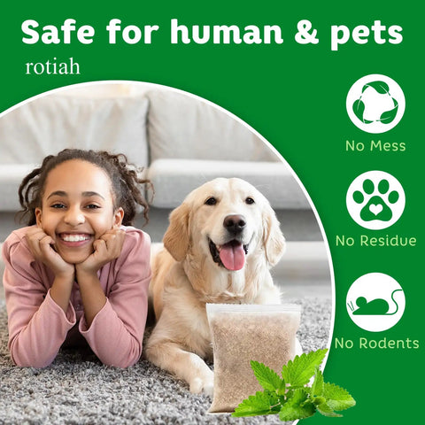 Girl smiling with dog on carpet beside Natural Peppermint Oil Rodent Repellent Pouches Pet Safe Pest Control For Mice Rats Roaches Spiders Indoor Outdoor Humane Deterrent 10 Pack Kicks Pests Straight To The Curb.