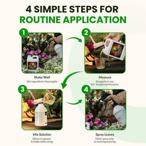 Flower Shield Plant Care Spray Do It All For Routine Foliar Application And Maintenance Naturally Derived Oil Based Formula For Indoor And Outdoor Plants 32 Ounce Great For Home Growers, 4-step use guide