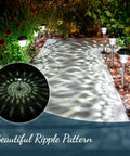 LED Solar Powered Outdoor Landscape Path Lights With Stainless Steel And Glass Lens lining a garden walkway at night