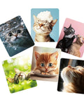 Anywind microfiber glasses cleaning cloths, 6-pack with cute cat images on square cloths.