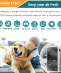 Girl hugging golden retriever next to F1 Odor and Allergen Reduction Filter for Filtrete C01 and T02 Air Purifiers image