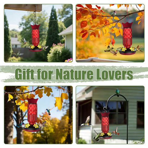 Hanging Hummingbird Feeder With Five Flower Shaped Feeding Ports 16 Oz Bird Feeder Bee Proof Design Built In Ant Moat