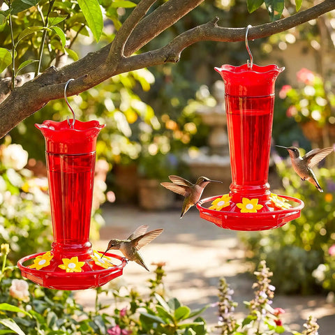 10 Oz Glass Hummingbird Feeder Set Two Pack For Outdoors Hanging Red Ant And Bee Proof With Six Feeding Ports in Garden