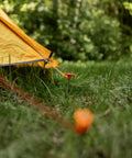 Tent secured with Beefy 10-Inch Steel Tent Stakes Heavy-Duty Ground Anchors in grass, corrosion-resistant finish visible.