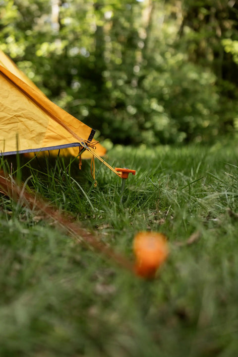 Tent secured with Beefy 10-Inch Steel Tent Stakes Heavy-Duty Ground Anchors in grass, corrosion-resistant finish visible.