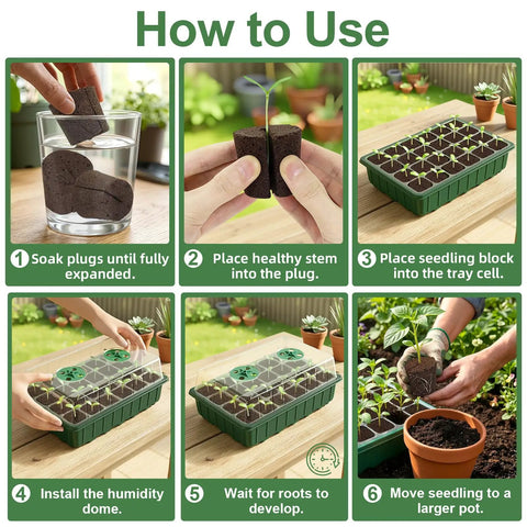 Illustration of using a 24 Pack Seed Starter Pods With Reusable Tray, Hydroponic Grow Sponges For Seed Starting And Propagation guide.