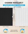 Replacement HEPA H 116130 filter and carbon filter combo pack dimensions for Winix 5500 2 air purifier, 32x41.5 cm each