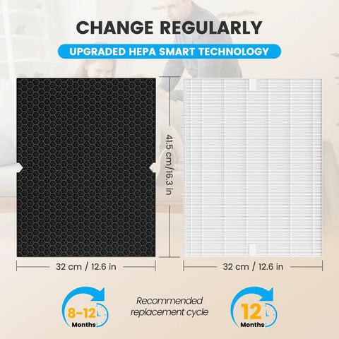 Replacement HEPA H 116130 filter and carbon filter combo pack dimensions for Winix 5500 2 air purifier, 32x41.5 cm each