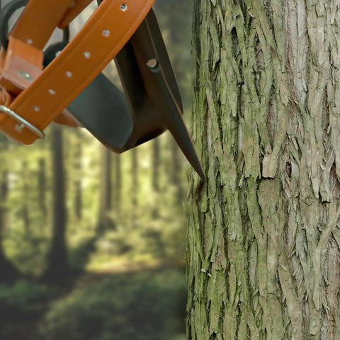 Heavy Duty Alloy Steel Tree Climbing Spikes Set With 350 Lb Load Capacity close-up on tree bark.