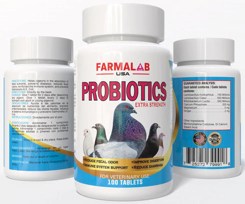 Pigeon Vitamin Supplement With B12 And B15 For Energy Boost And Endurance, 100 Tablets shown on probiotic packaging.