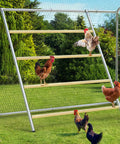 Four Tier Chicken Roosting Perch For Backyard Poultry No Fuss Easy To Assemble Elevated Roosting Bars in outdoor coop with chickens