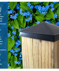 Plastic Pyramid Fence Post Caps 4x6 Nominal 3-5/8 x 5-5/8 With Pre-Drilled Holes Black or White Pack of 2 on wooden post