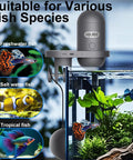 Slick WiFi Automatic Fish Feeder With 2.5K HD Camera Smart App Control and Vacation Timer mounted on aquarium glass.
