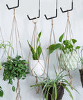 Six Pack Heavy Duty Rafter Hooks For Hanging Vinyl Coated Large S Hooks For Ladders, Bikes And Garage Storage Organizer Black Ideal For Indoor Outdoor Use In Workshops Garages And Sheds