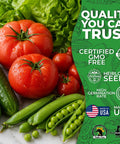 Deluxe 30 Pack Heirloom Vegetable Seeds Non GMO With 30 Different Varieties For A Dope Home Garden, High Germination, Easy Start