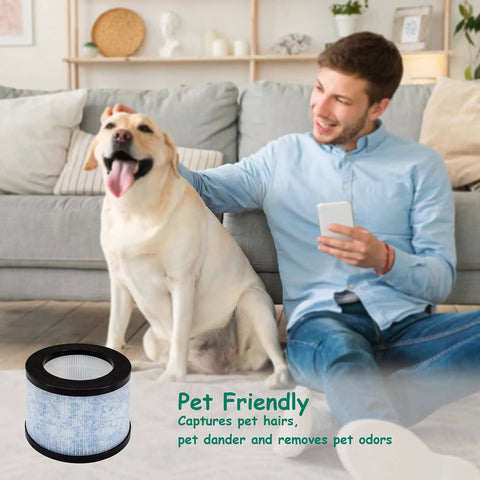 True HEPA Replacement Filter 2 Pack For AROEVE MK01 MK06 DH JH01 capturing pet dander next to man and dog in living room