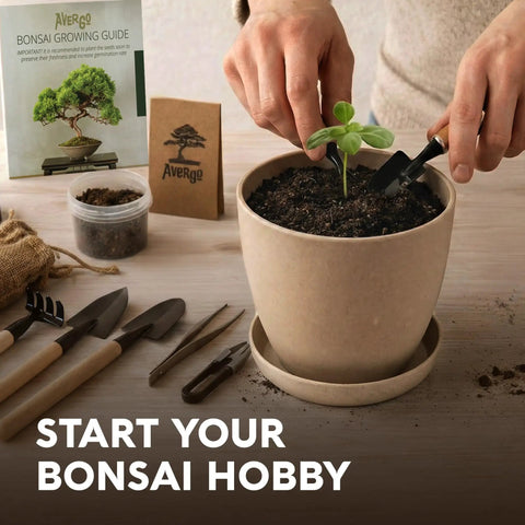 Person using tools from Bonsai Starter Kit For Growing Jacaranda Tree With Seeds, Tools, And Planter, Complete Indoor Bonsai Kit.
