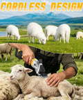 High Capacity Cordless Sheep Shears Gonna Slice Through Thick Wool Fast, used on a lamb in a pasture with grazing sheep.