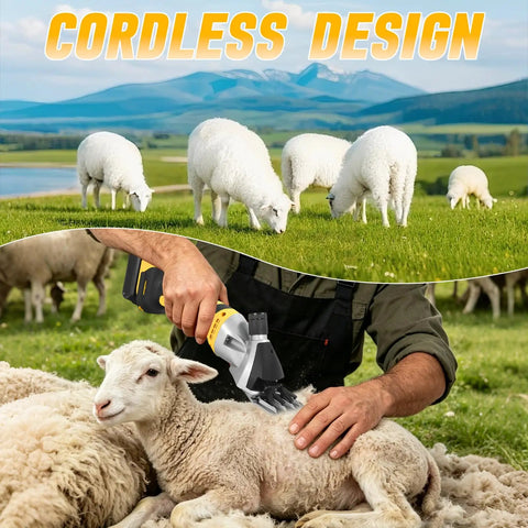 High Capacity Cordless Sheep Shears Gonna Slice Through Thick Wool Fast, used on a lamb in a pasture with grazing sheep.