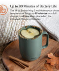 Keep Your Coffee Piping Hot With This App Controlled Smart Mug Featuring A 14Oz Rechargeable Heated Warmer Crisp Led Panel And On Point Temp Controls Total Game Changer For Desk Vibes And Daily Sessions In Fresh Sage Green on a wooden surface with cinnamon sticks.