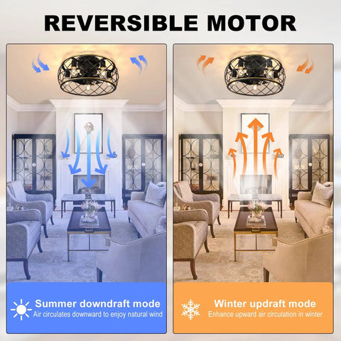 Diagram of 20 Inch Cage Ceiling Fan with Lights and Remote in black and gold finish, showing reversible motor for summer and winter modes.