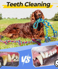 Rugged Dog Rope Toys 5 Pack for Aggressive Chewers shown with dog in field promoting teeth cleaning benefits.