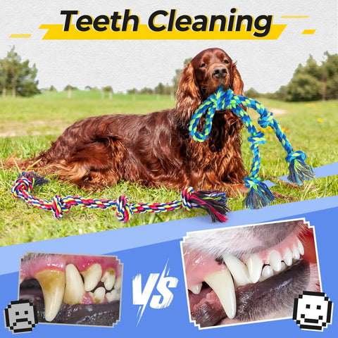 Rugged Dog Rope Toys 5 Pack for Aggressive Chewers shown with dog in field promoting teeth cleaning benefits.