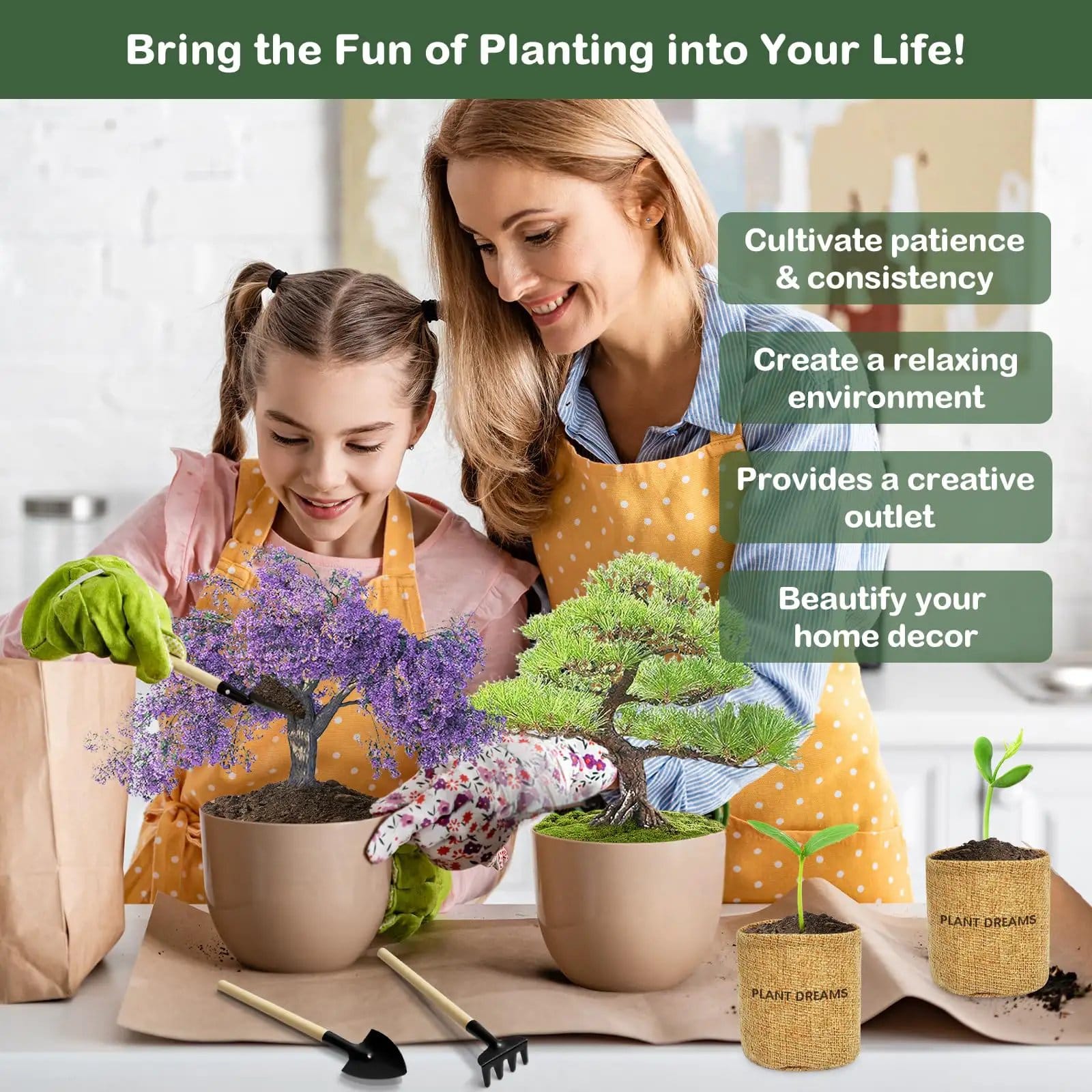 Complete Bonsai Tree Kit for Beginners, Exotic 4-Tree Set ✓