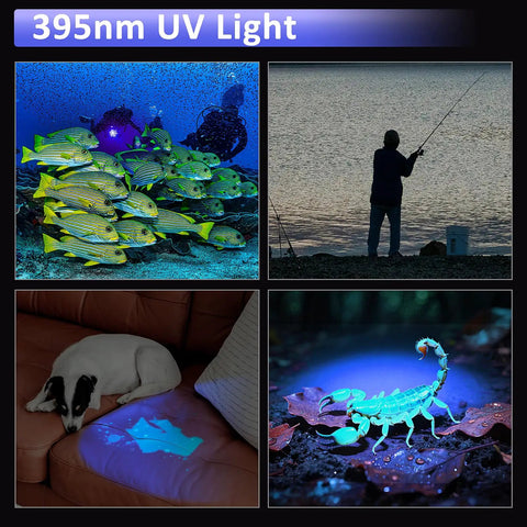 395 Nm UV scuba dive light fluorescence underwater, fishing, pet urine detection, scorpion glowing under black light.